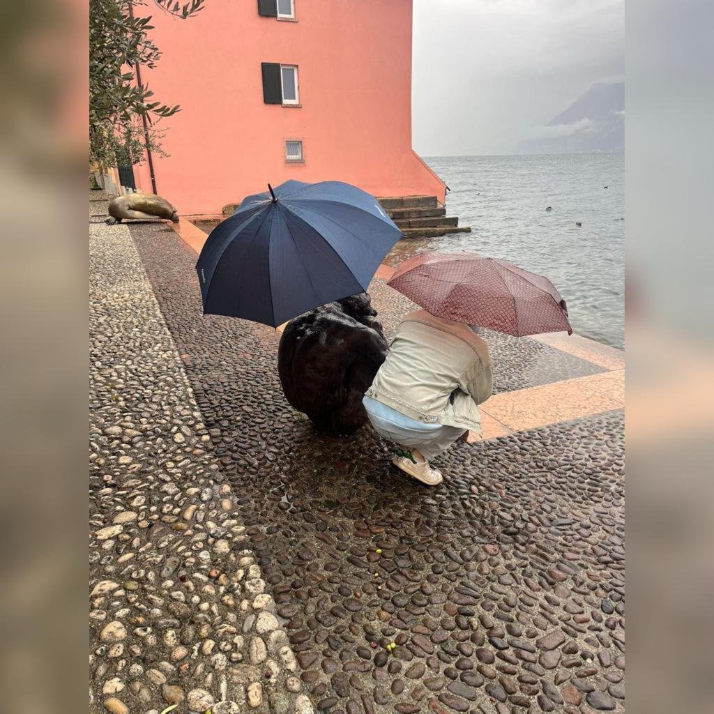 malcesine