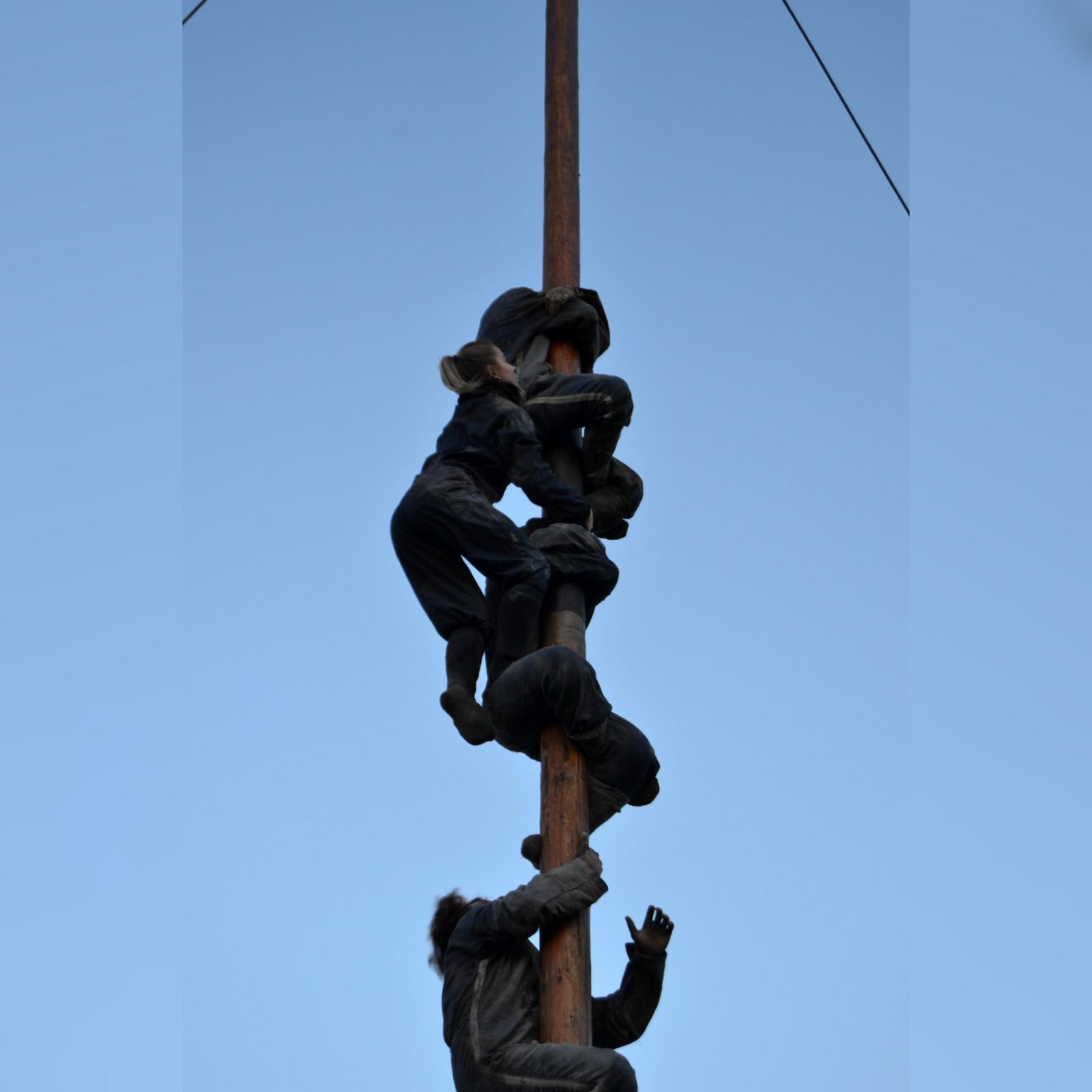 calvisano